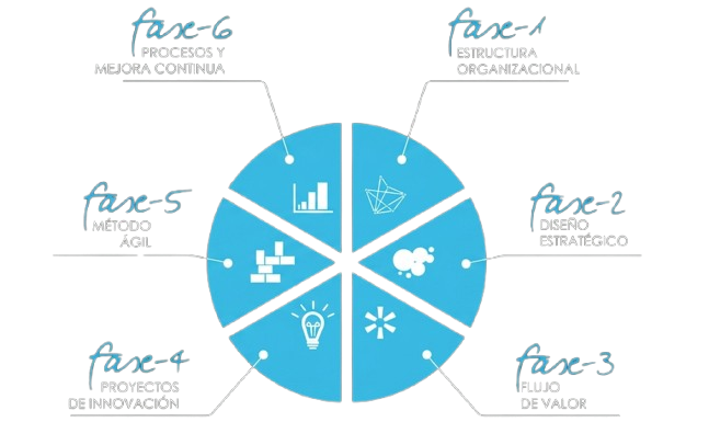 Rueda de las 6 fases del método SHAPE